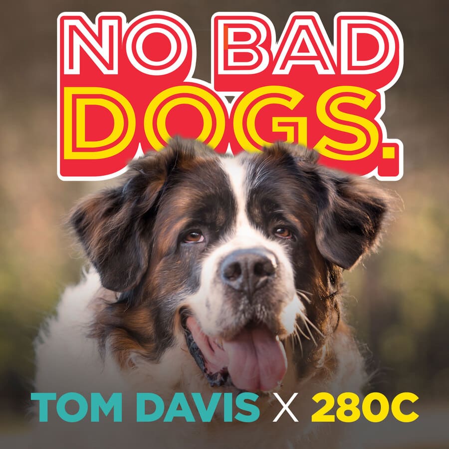 Tom Davis Edition 280C 
