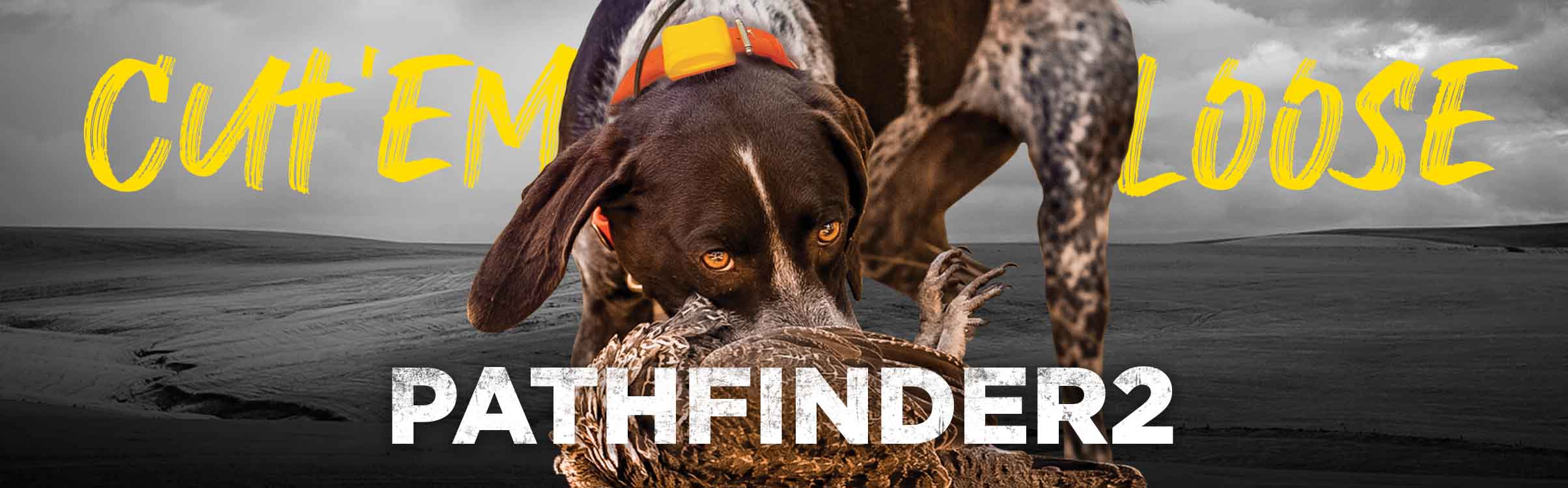 Dogtra Pathfinder 2 - Collar de caza con GPS para entrenamiento de perros  con control remoto, rango de 9 millas, seguimiento y contención para razas
