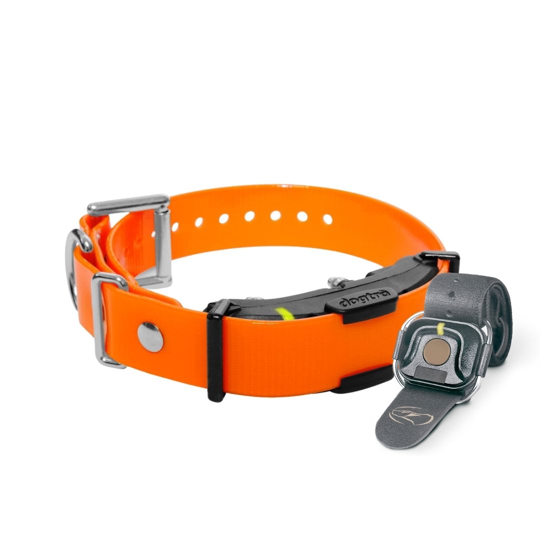 ARC HANDSFREE PLUS BL Dog Training E-Collars  Accessories