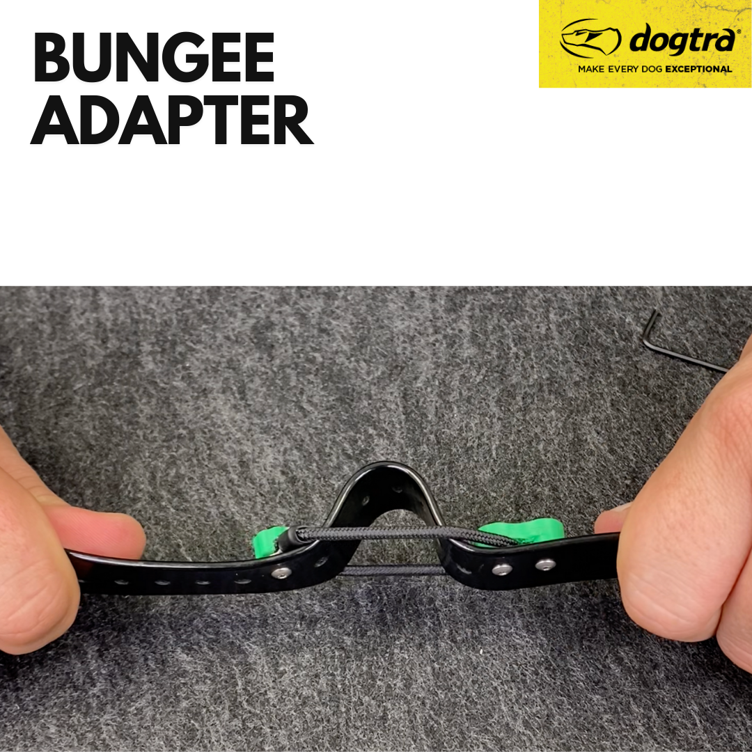 Bungee Adapter 