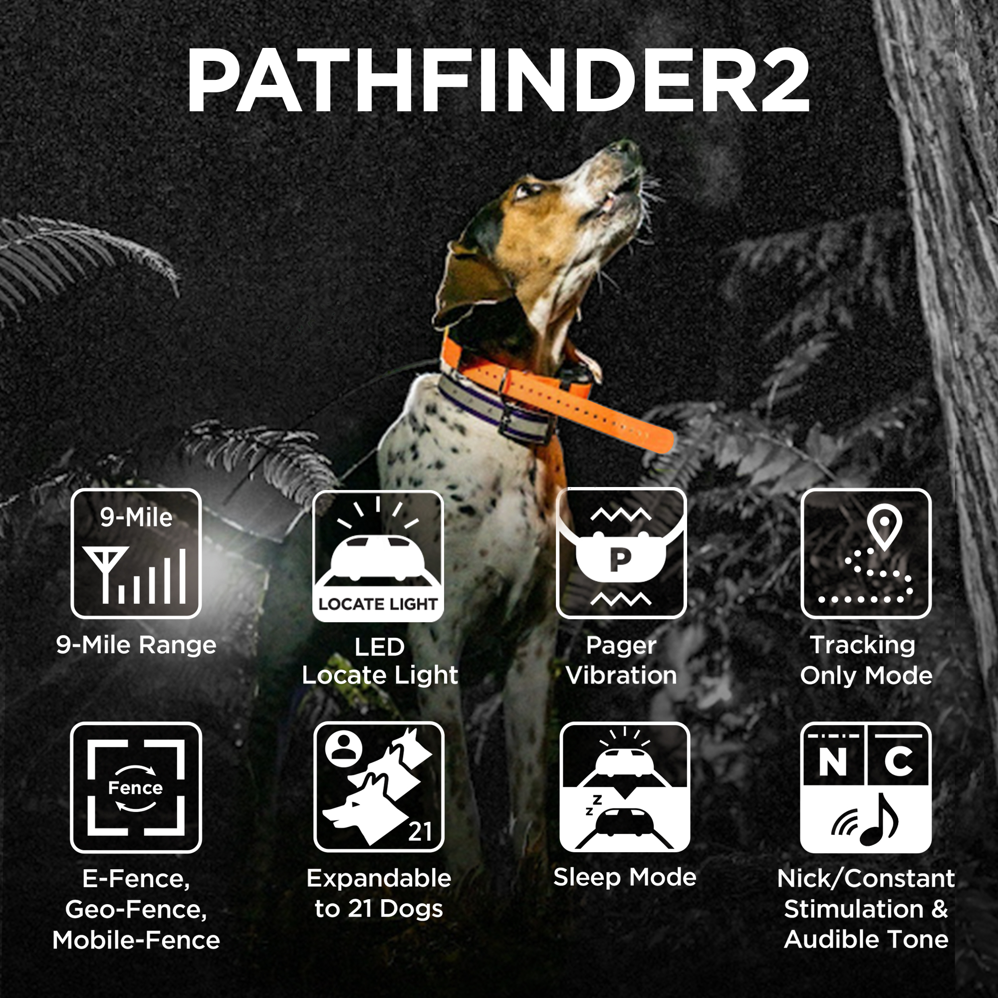 PATHFINDER2
