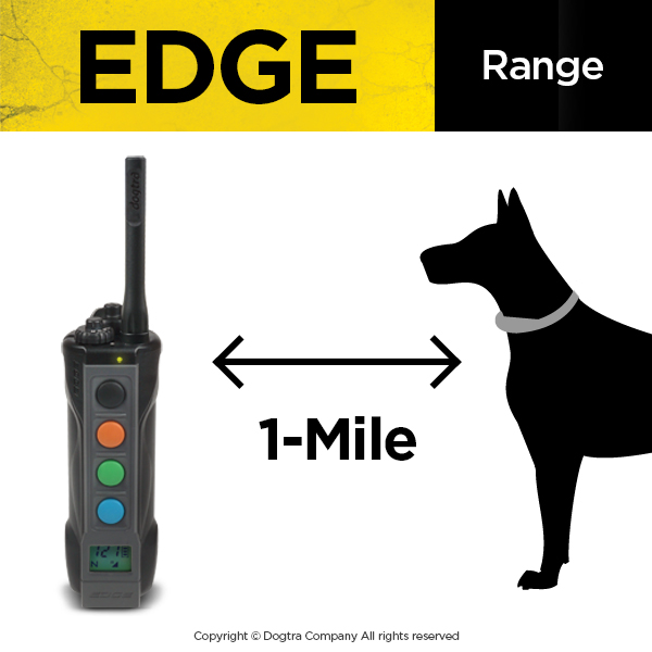 Dog Training E-Collars for Hunting | Electronic Dog Collars for Sale