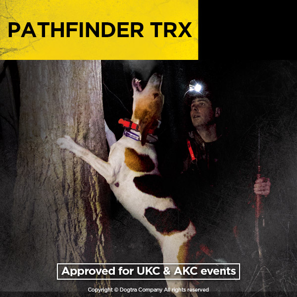 dogtra pathfinder trx