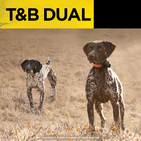 T&B DUAL 1-DOG