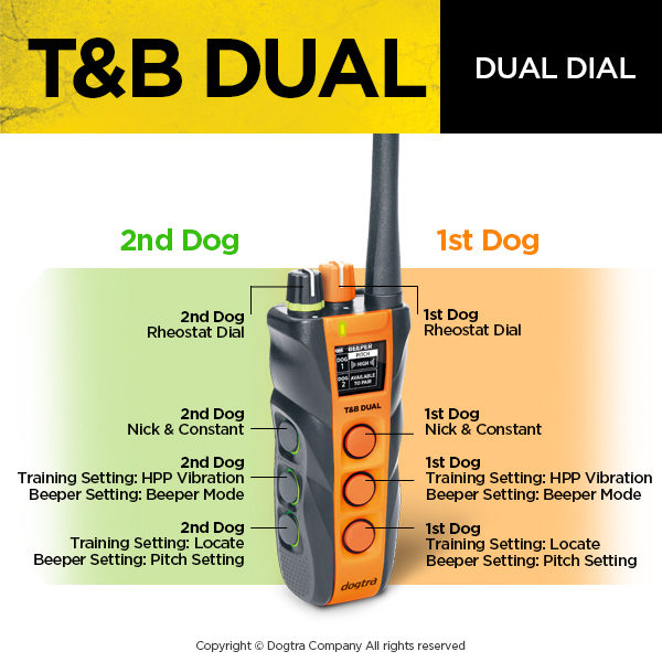 T&B DUAL 2-DOG