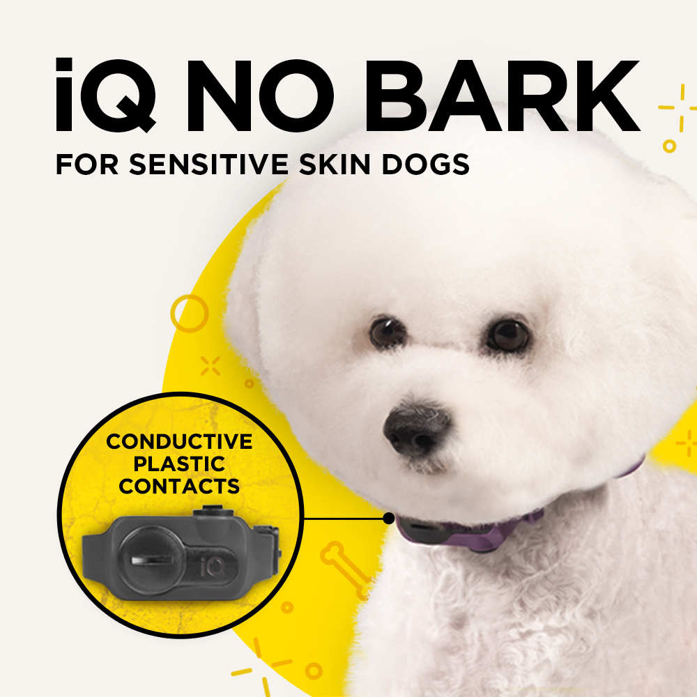 iQ No Bark Collar