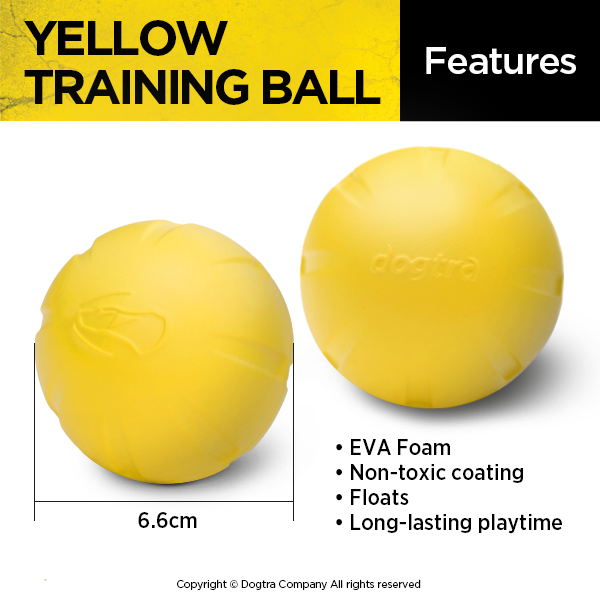 Dogtra Yellow Training Ball 