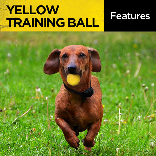 Dogtra Yellow Training Ball 